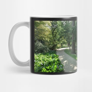 Garden path looks beautiful in sunlight Mug